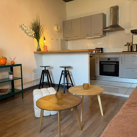 Et Cosy Proche Centre Pau