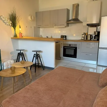 Appartement Et Cosy Proche Centre Pau